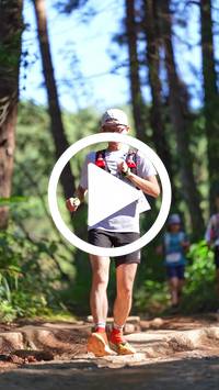 BIB:  <button type="button" onclick="openModal(26787730)" class="btn btn-primary btn-sm float-right" data-toggle="modal" data-target=".modal-high-quality">
                <i class="fa fa-download"></i> Download
                </button>